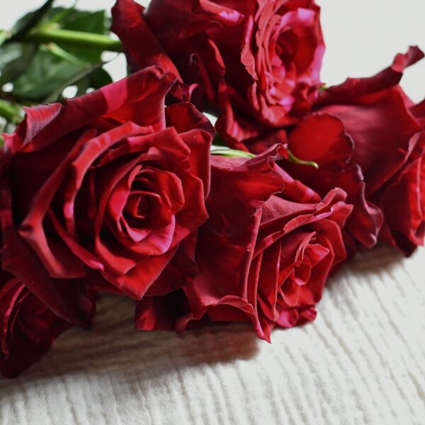 Le Bouquet Passion d'Anne de Bretagne - Bouquet de roses rouges
